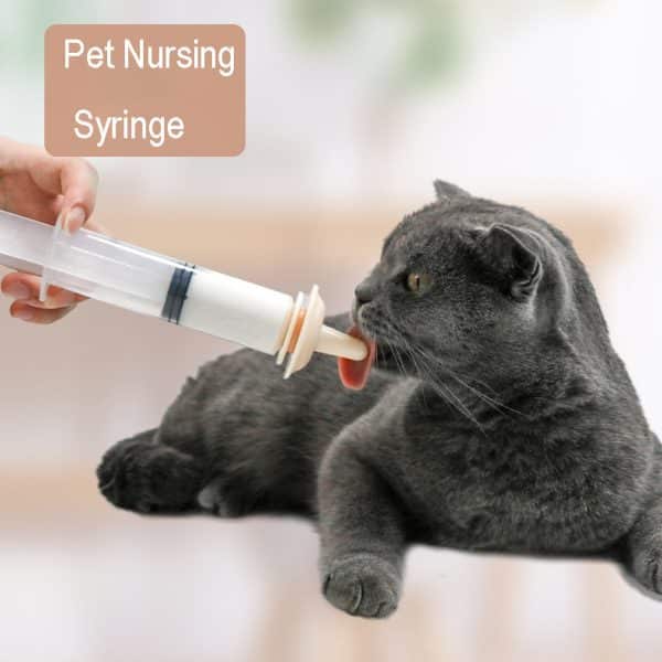 Veterinary Pet Feeding Syringe Application Professional Use