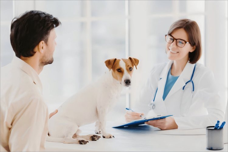 busy-veterinary-clinic-insulin-treatment-scene