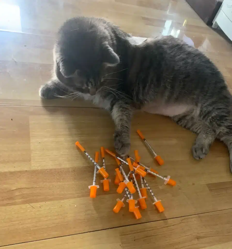 pet-owner-home-insulin-injection-demonstration