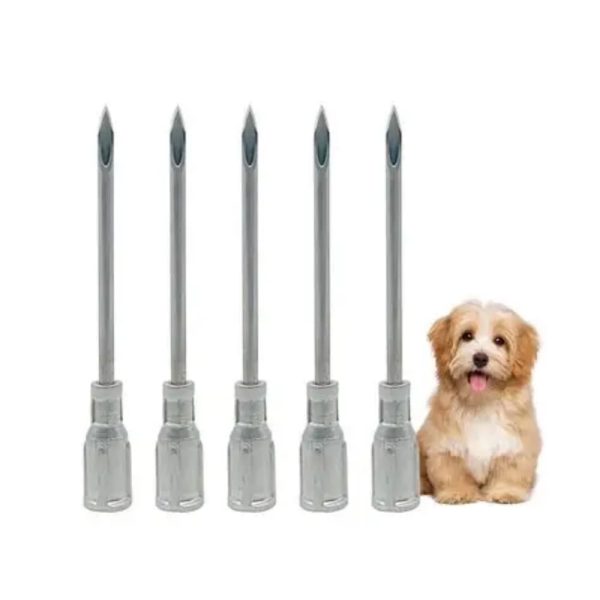 veterinary injection technique demonstration