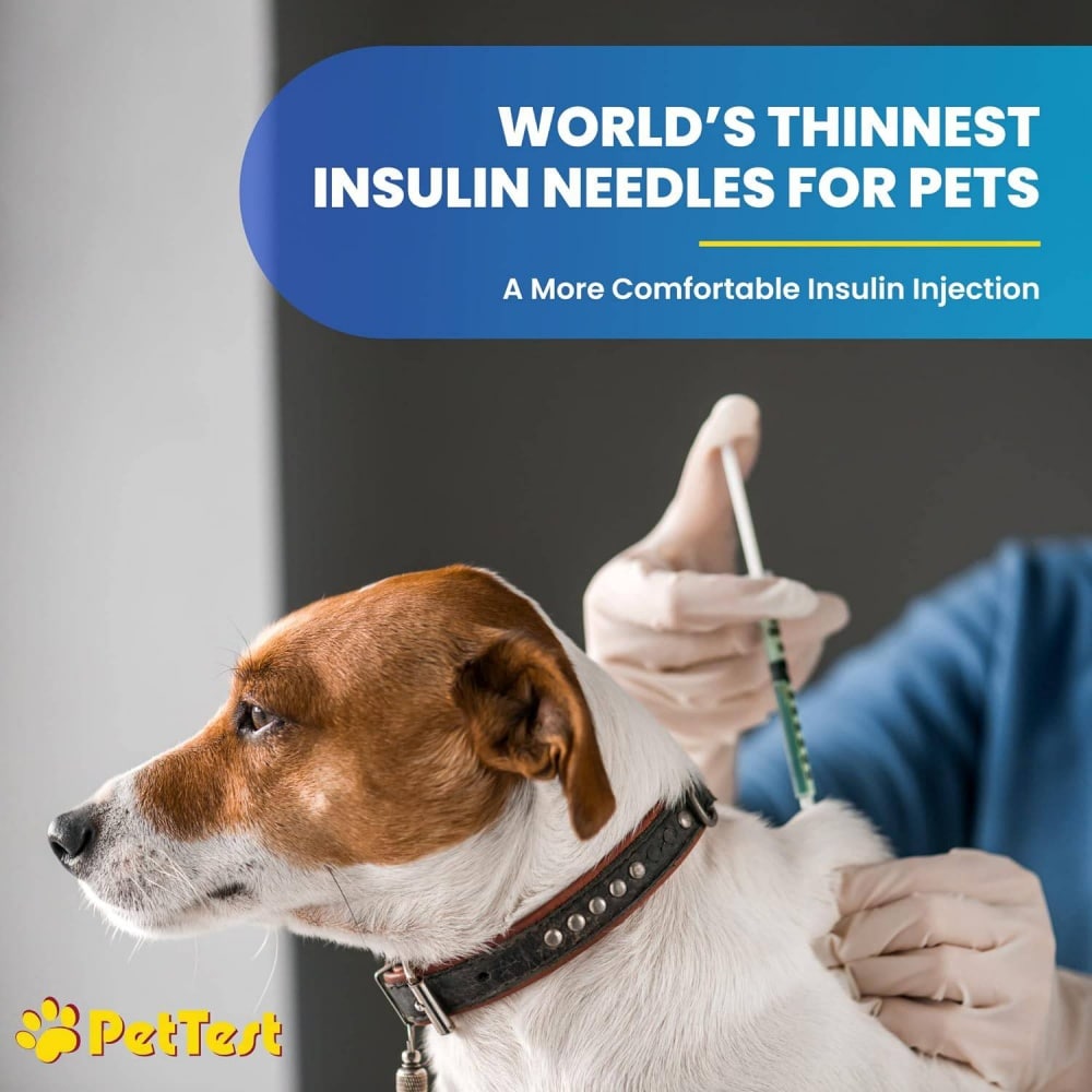 worlds thinnest insulin needles for pets