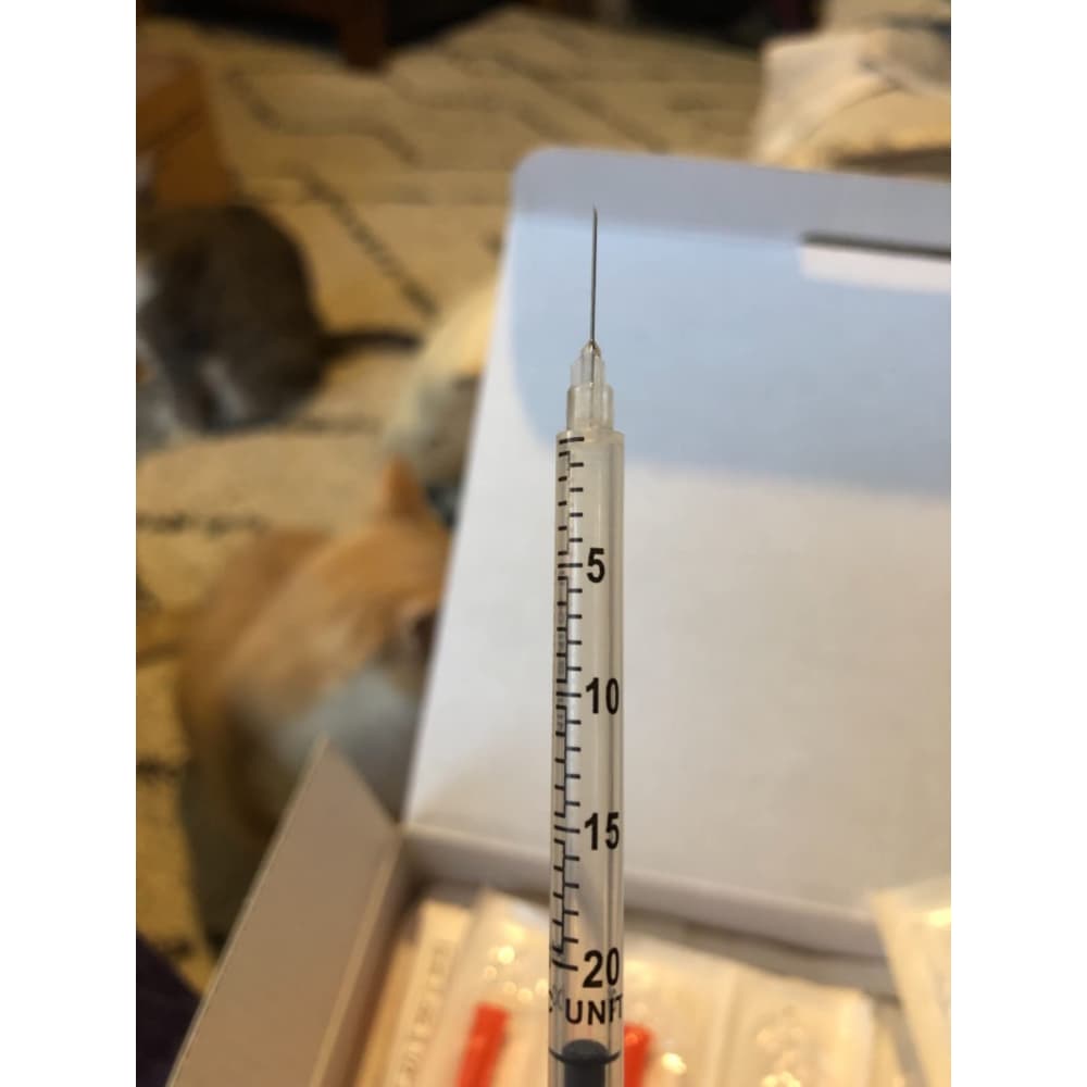 u40 insulin syringes diabetic pets main