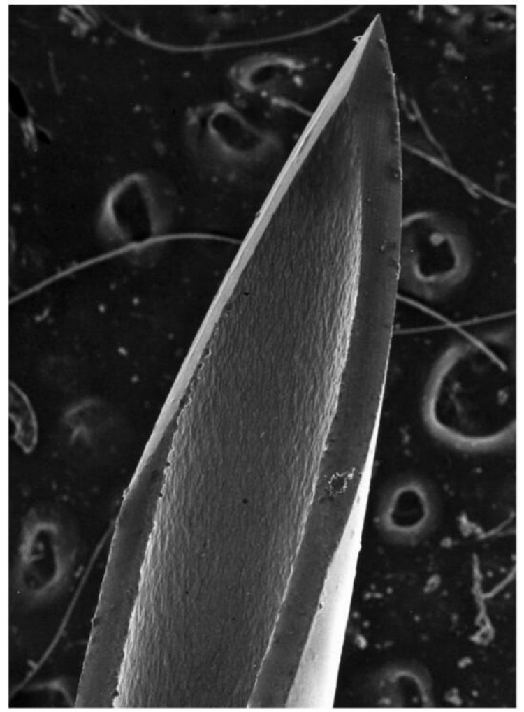 skin-barrier-breach-injection-process