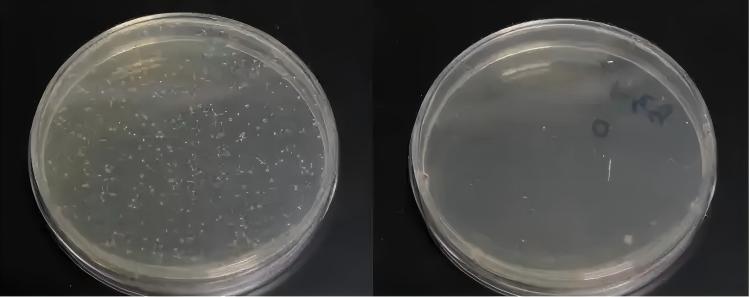 sterility-vs-cleaning-vs-disinfection-comparison