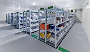 warehouse-inventory-management-pharmaceutical-products-storage-temperature-controlled-facility