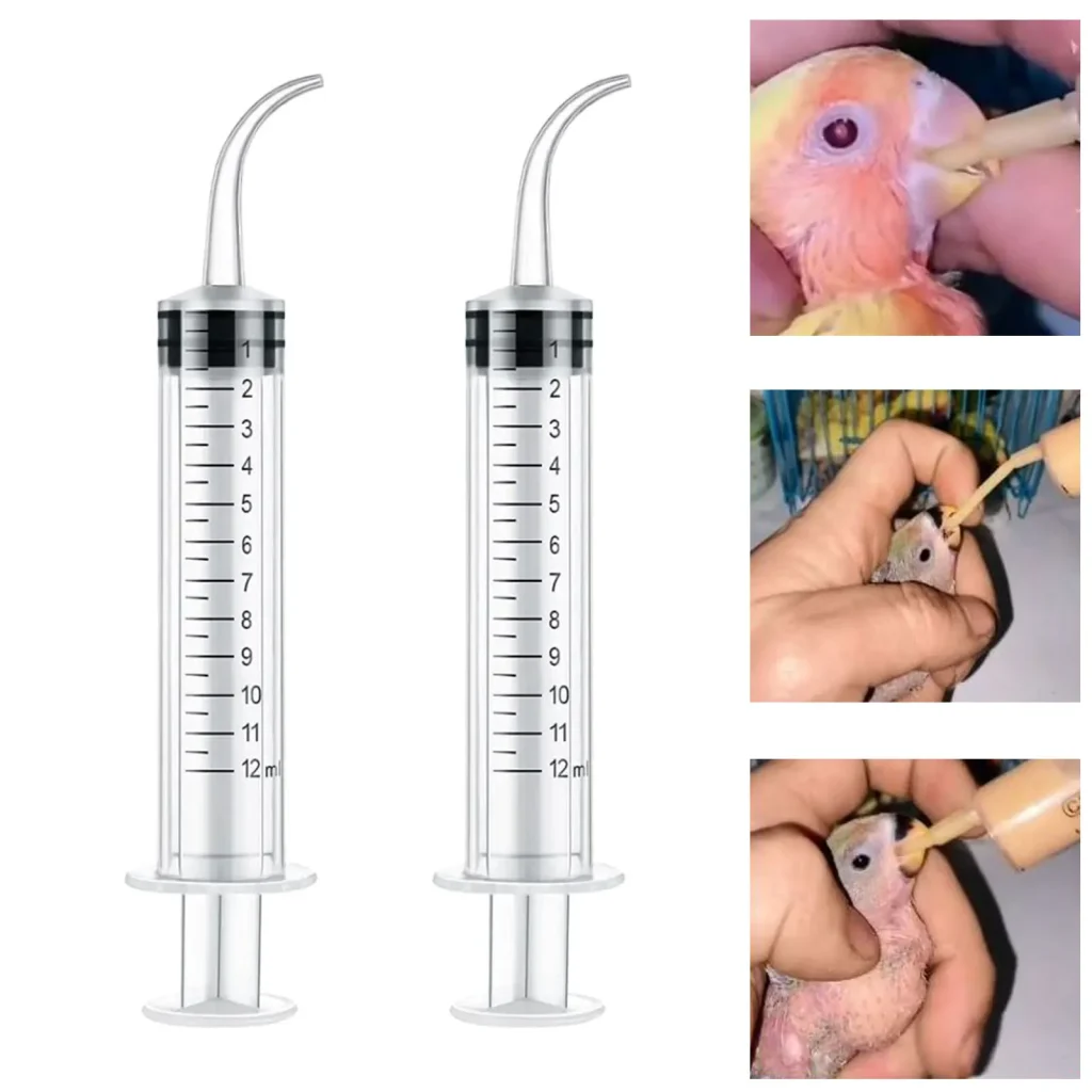 bird syringe baby chick hand feeding demonstration