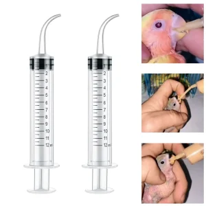 bird syringe baby chick hand feeding demonstration