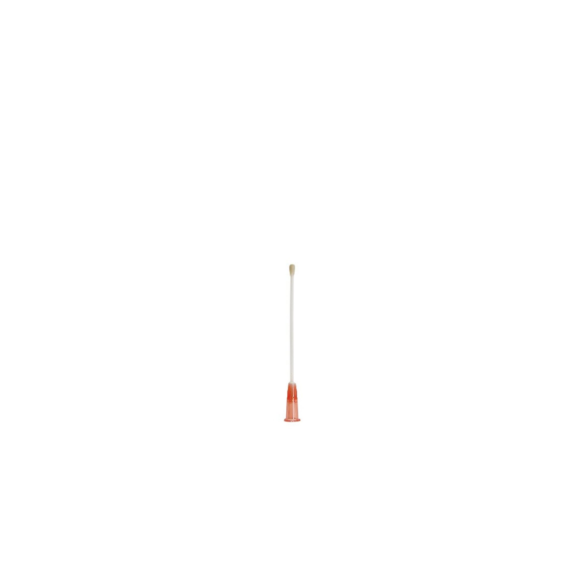 oral gavage needle reusable guinea pigs 20G